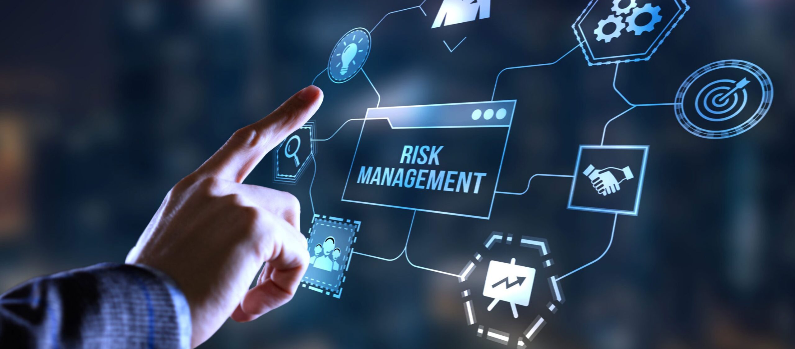 Risk Management Systems Paul Haddock & Associates